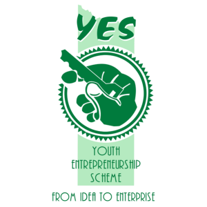 About The Youth Entrepreneurship Scheme